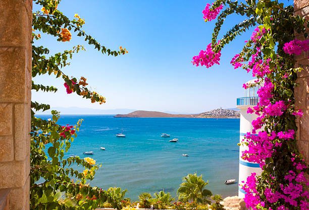 Deniz manzarası fotoğrafı